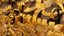 a bunch of gold bracelets are on display