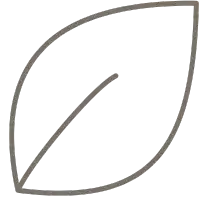 Simple line drawing of a leaf shape with curved edges.